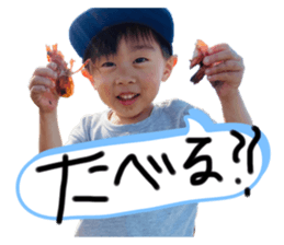 658614420