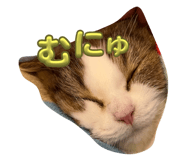 658629538