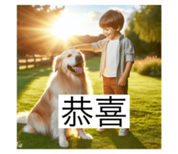 658634117