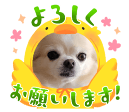658635456
