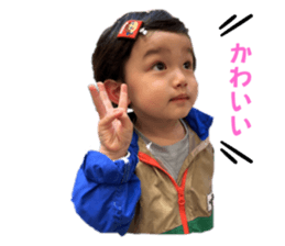 658643238