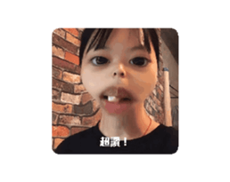 658648538