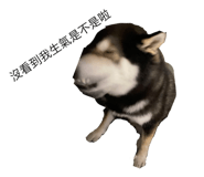 658652838