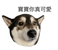 658652841