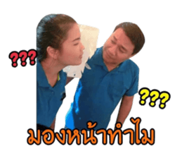65866538