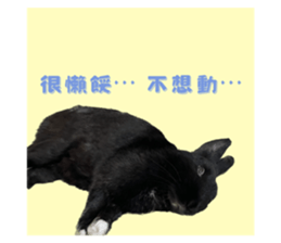 658667381