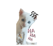 658687420