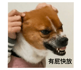 658730758