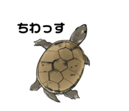 658757607