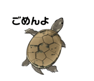 658757608