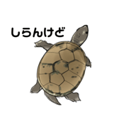 658757613