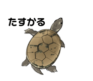 658757614
