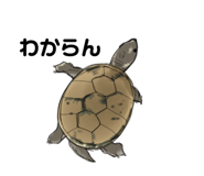 658757617