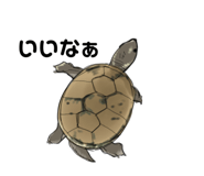 658757619
