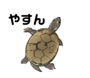 658757623