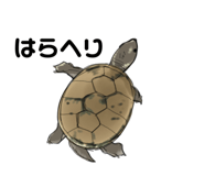 658757626