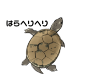 658757627