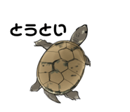 658757628