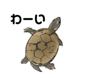 658757631