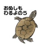 658757632