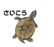 658757633