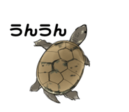 658757634