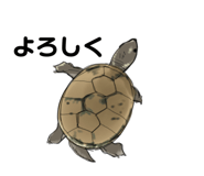658757635
