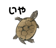 658757636