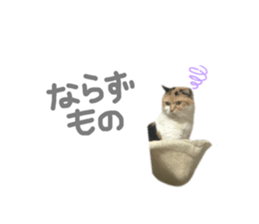 658757742
