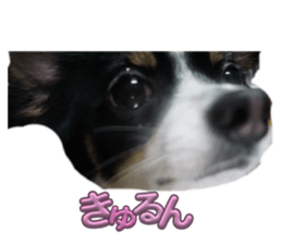 658768008