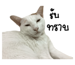 658793535