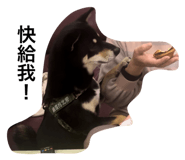 658839145
