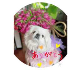 658844519