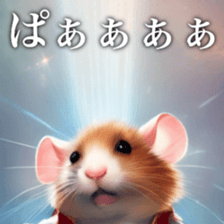 658855252