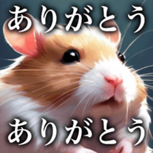 658855266