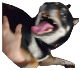 658858852