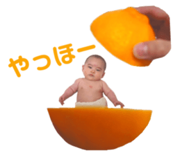 658870006
