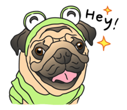 6588817