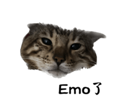 658884421
