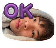 658888833