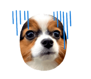 658889216