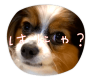 658889218