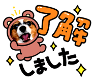 658889225