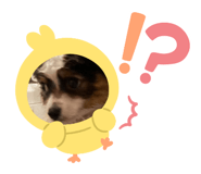 658889245