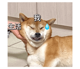 658901999