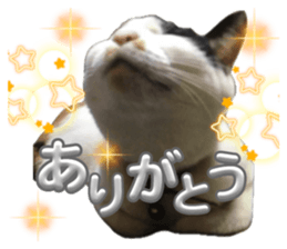 658915412