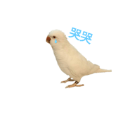 658926982