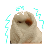 658926984
