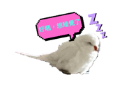 658926988