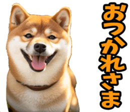 658934312